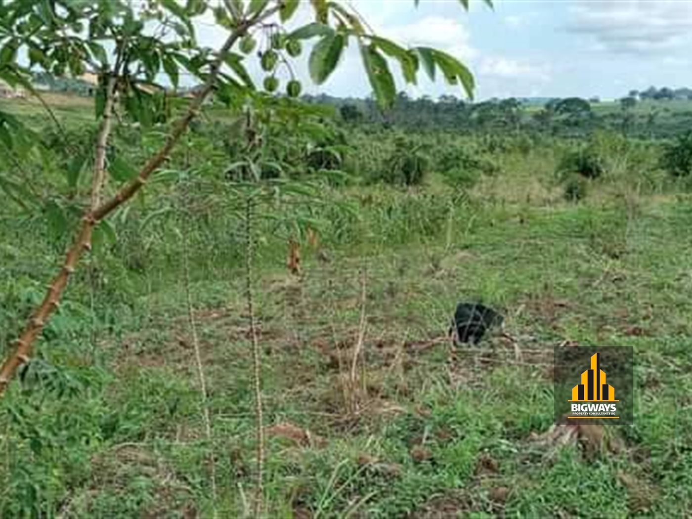 Residential Land for sale in Kyetume Mukono