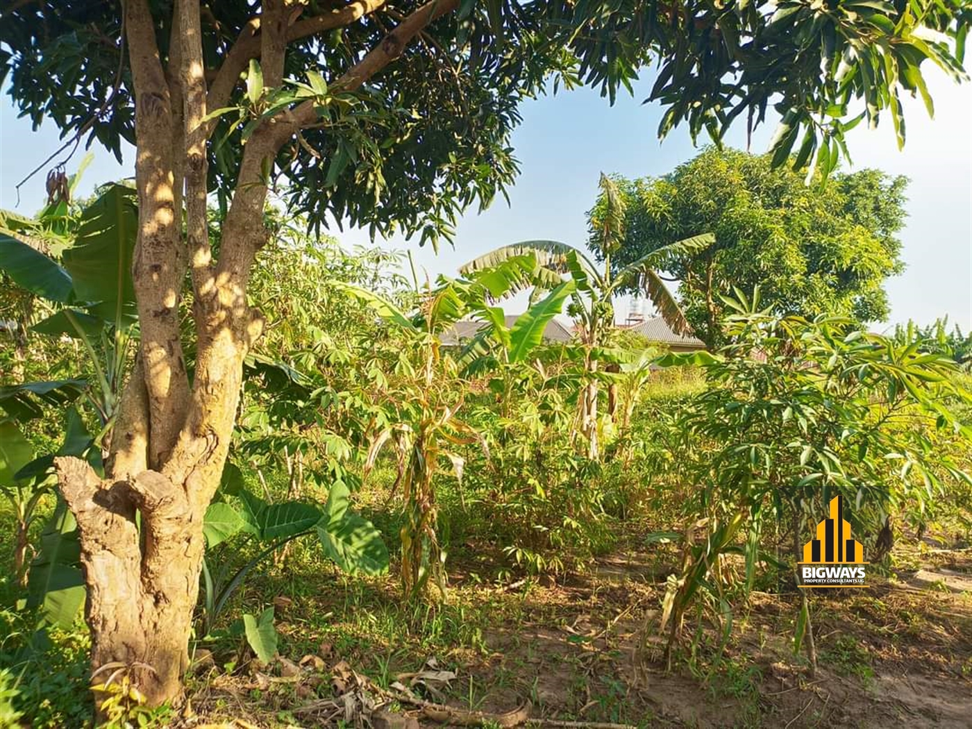 Residential Land for sale in Kira Wakiso