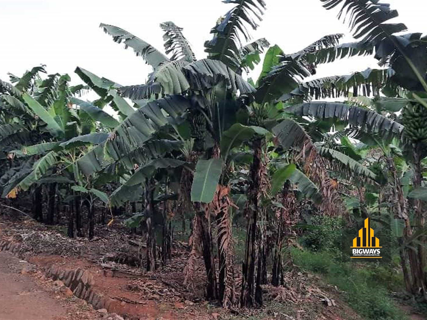 Residential Land for sale in Kungu Kampala