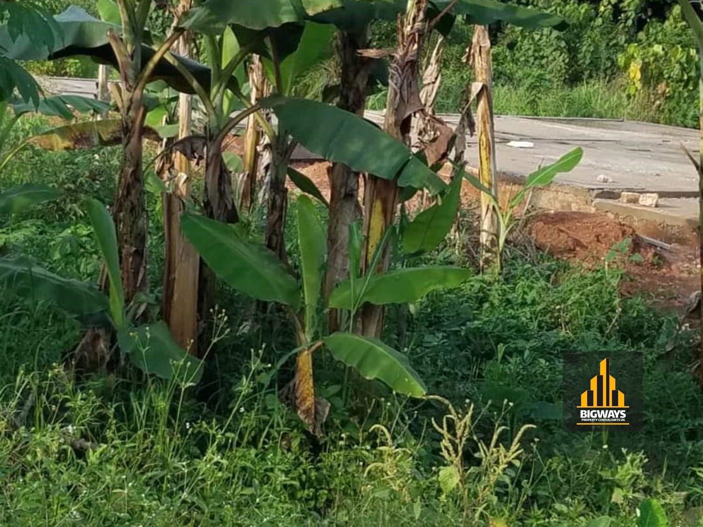 Residential Land for sale in Kira Wakiso