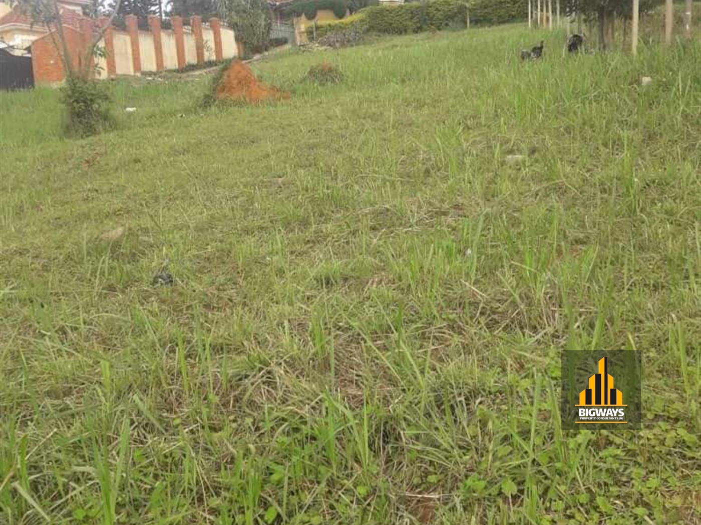 Residential Land for sale in Kisaasi Kampala