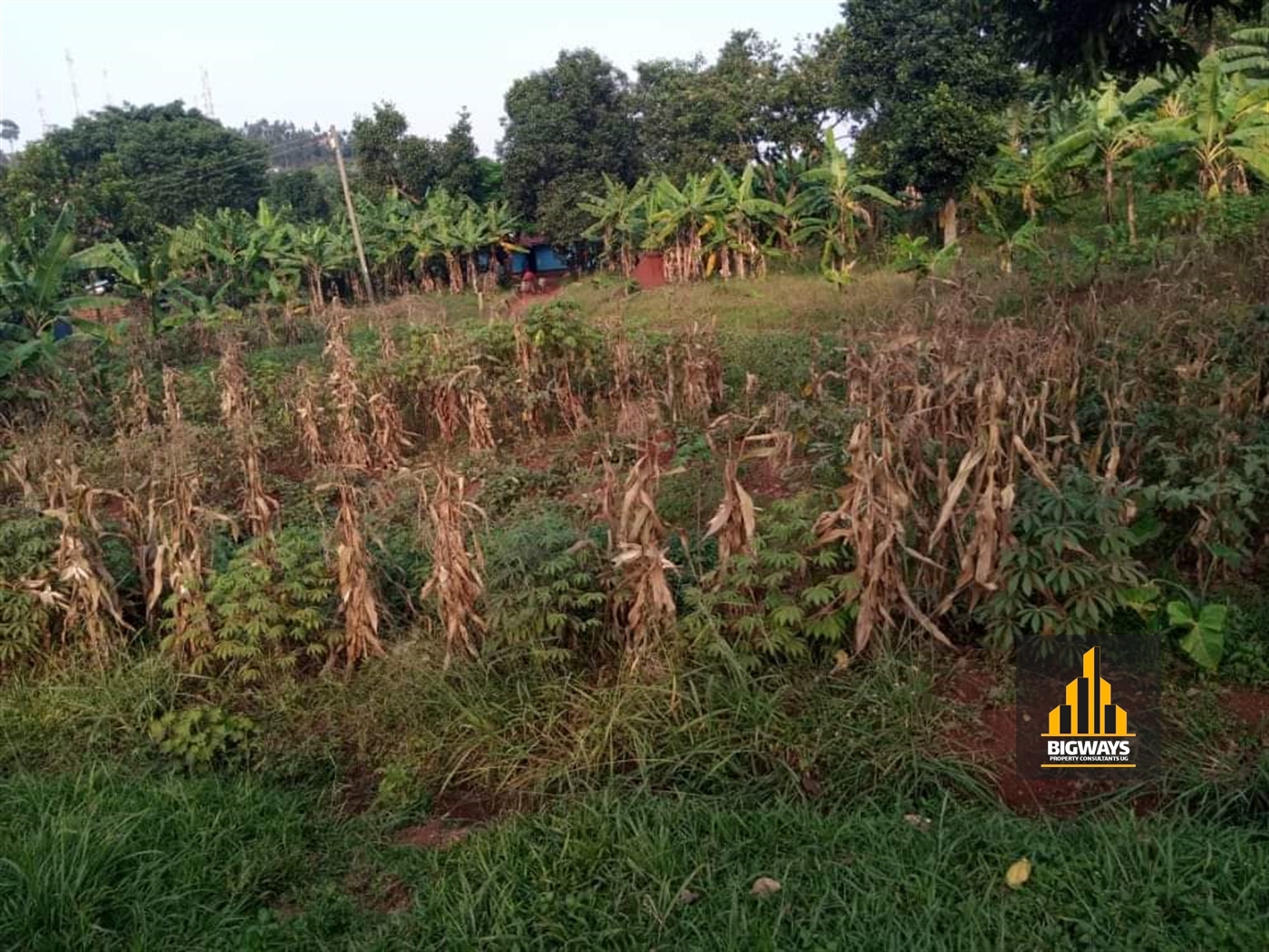 Commercial Land for sale in Bwebajja Wakiso