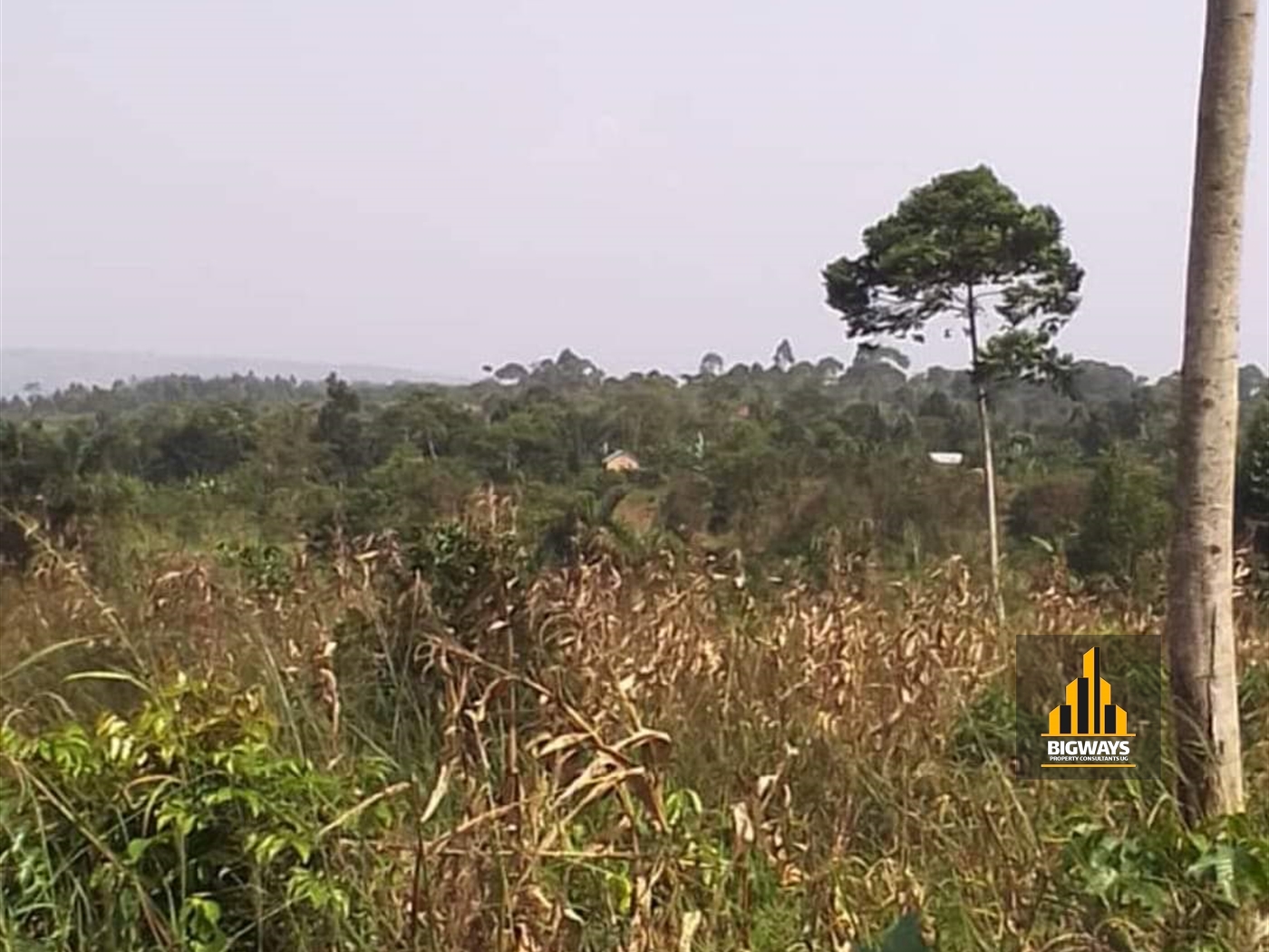 Agricultural Land for sale in Kisoga Mukono