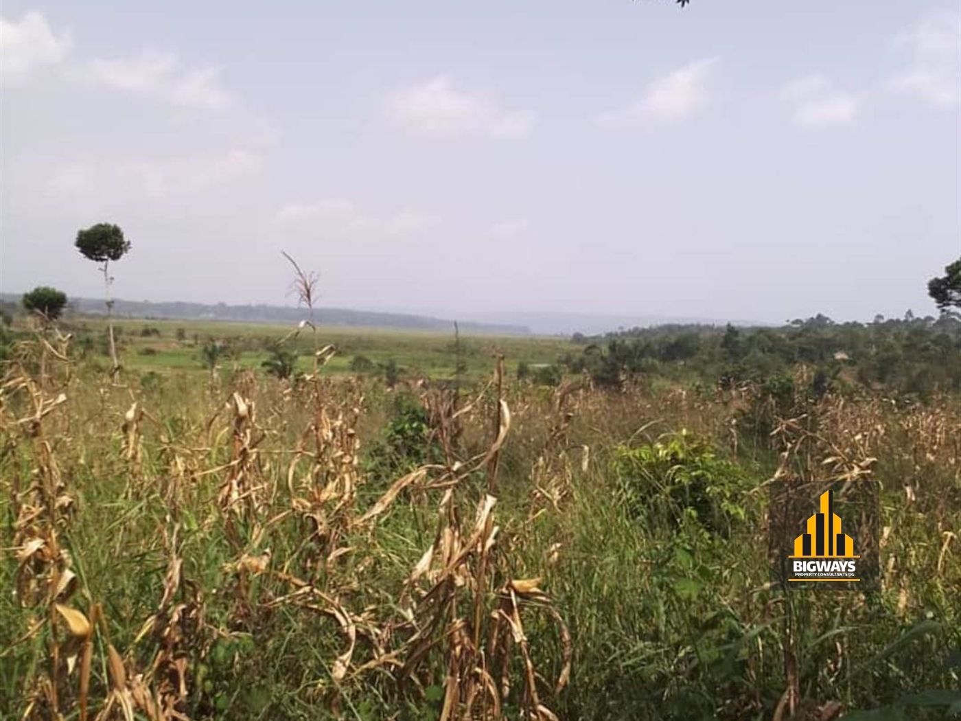 Agricultural Land for sale in Kisoga Mukono