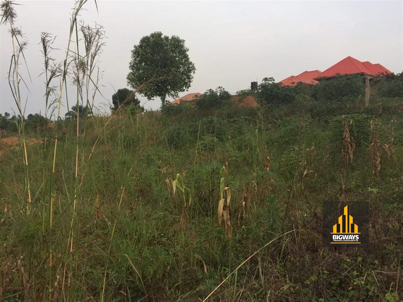 Residential Land for sale in Namugongo Wakiso