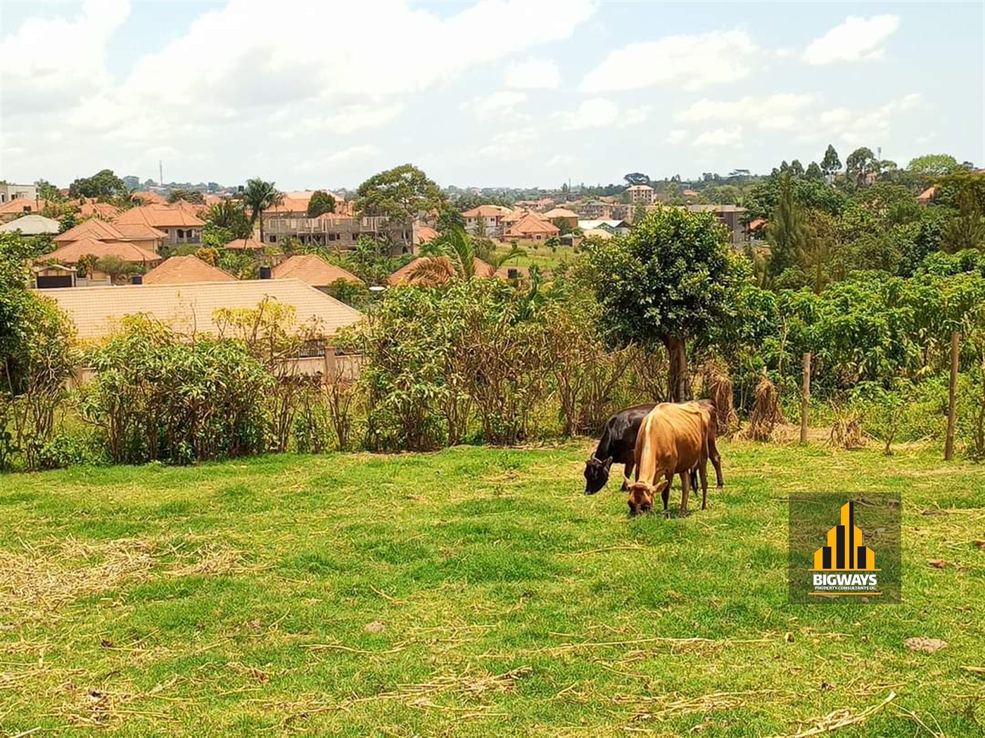 Residential Land for sale in Kungu Wakiso