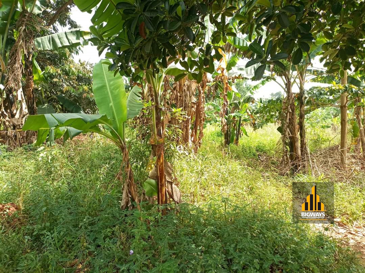 Residential Land for sale in Kira Wakiso