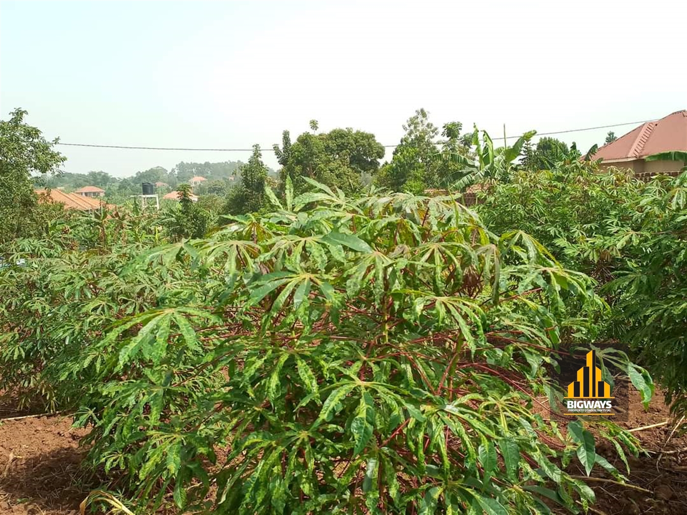 Residential Land for sale in Kira Wakiso