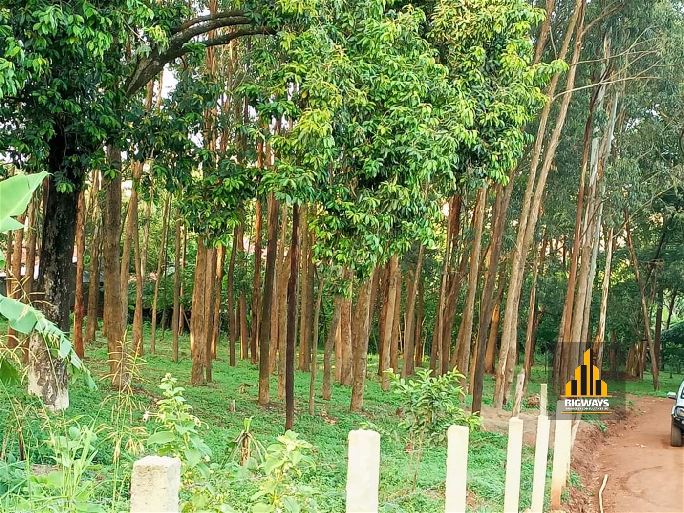 Residential Land for sale in Kisaasi Kampala