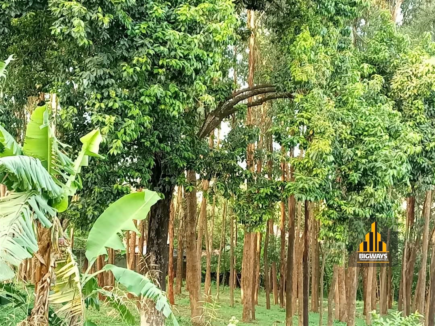 Residential Land for sale in Kisaasi Kampala