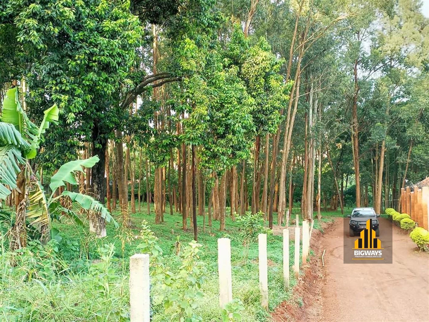 Residential Land for sale in Kisaasi Kampala