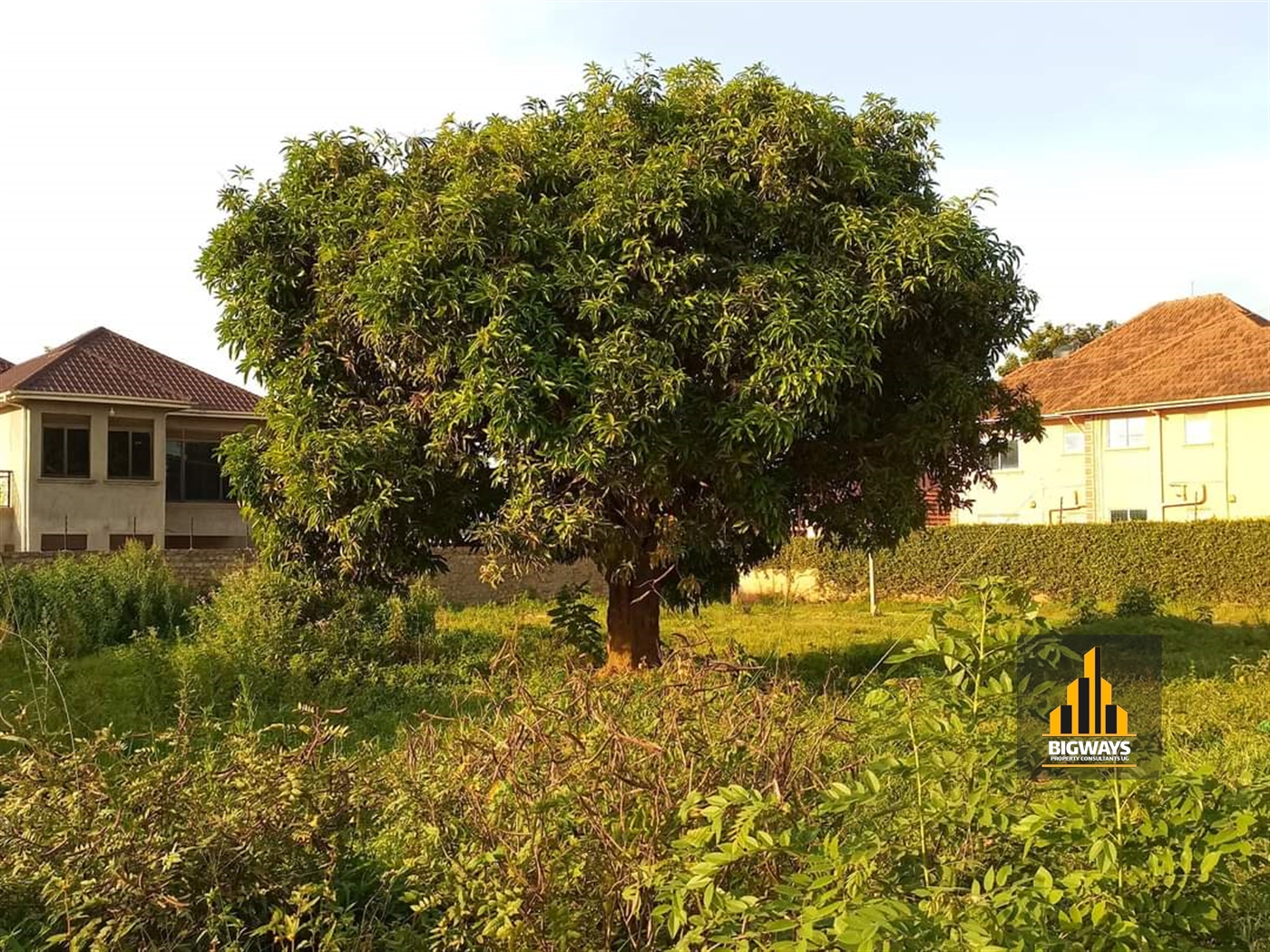 Residential Land for sale in Kungu Wakiso