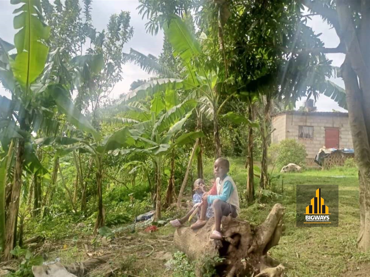 Residential Land for sale in Muyenga Kampala