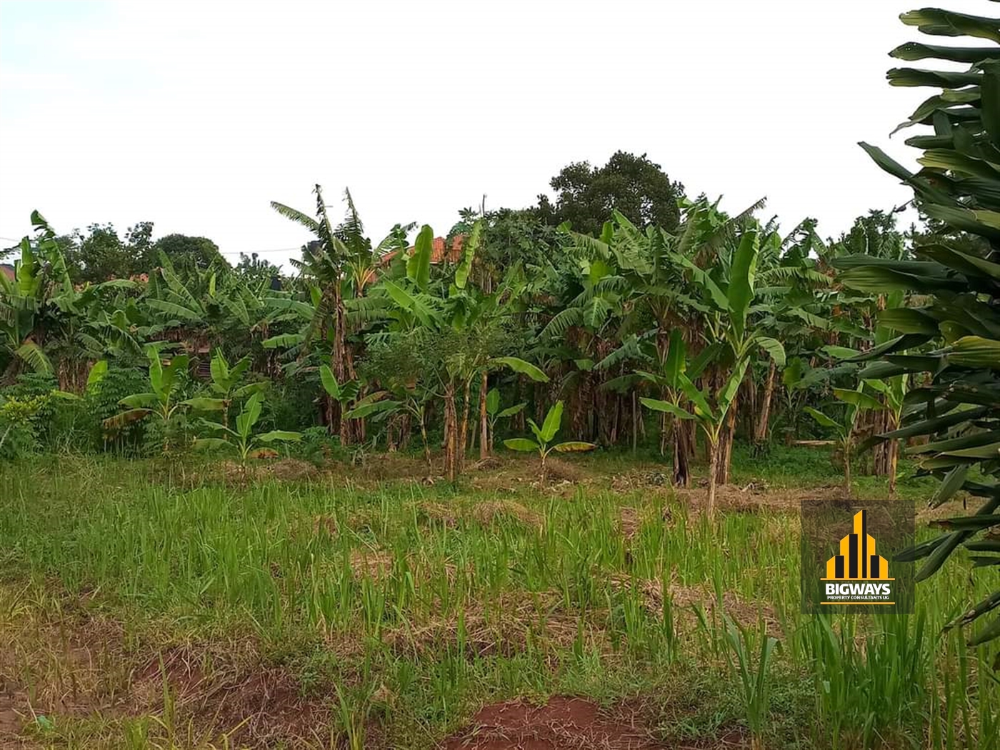 Residential Land for sale in Kira Wakiso