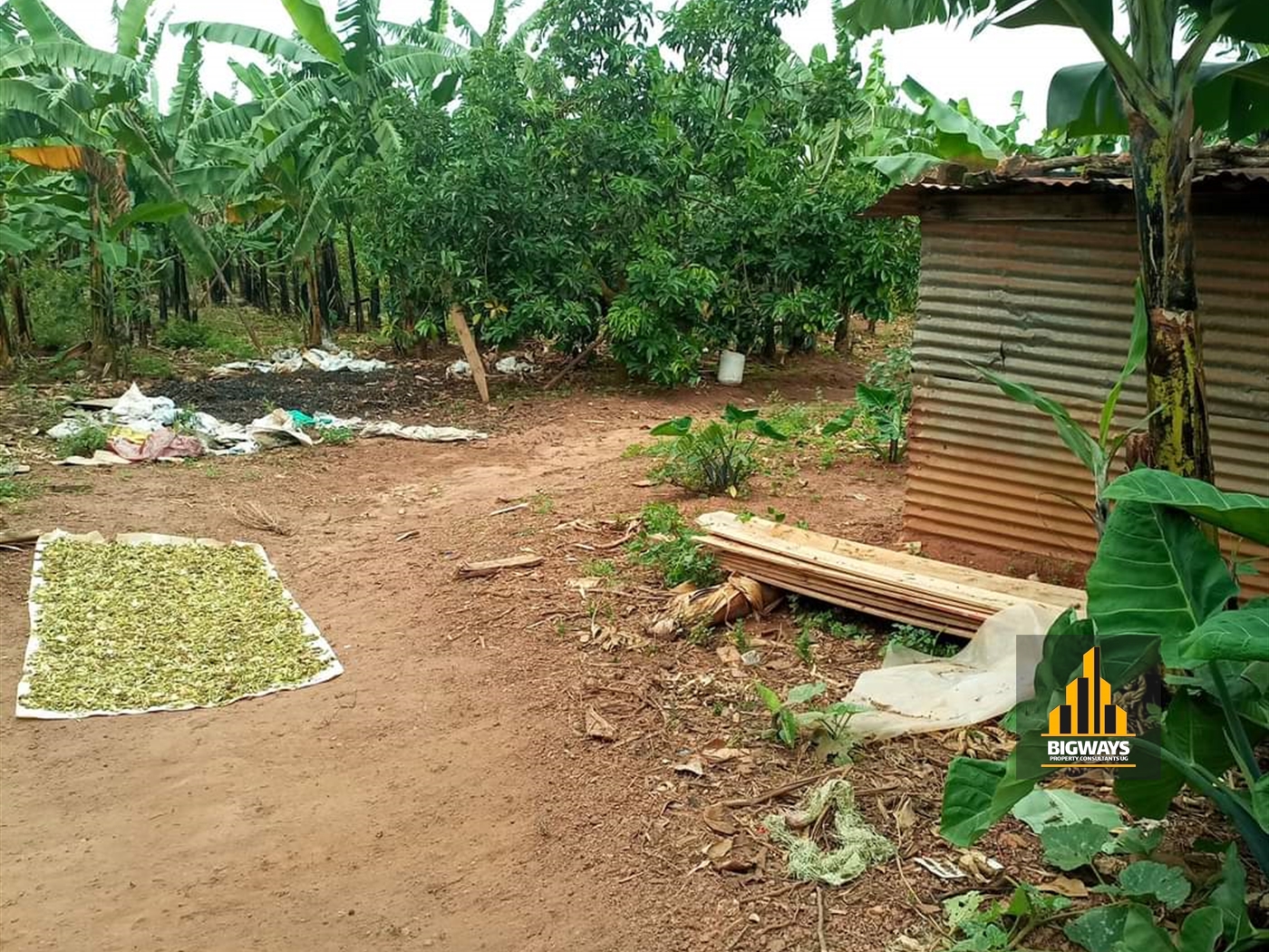 Residential Land for sale in Kungu Wakiso