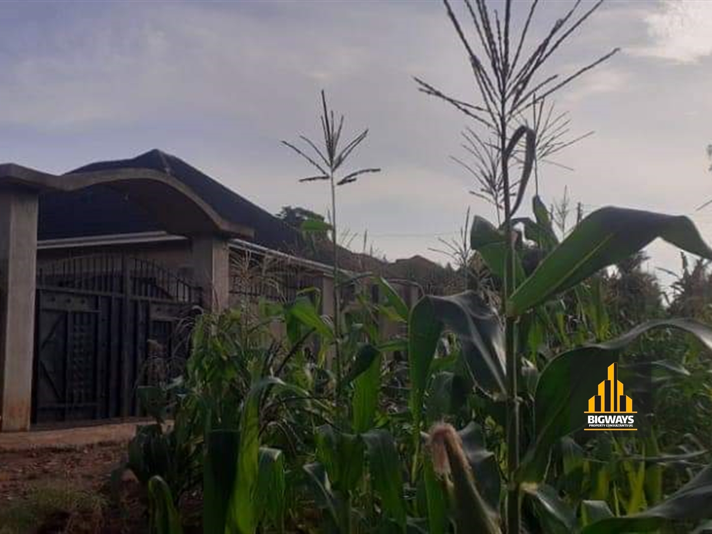 Residential Land for sale in Najjera Wakiso