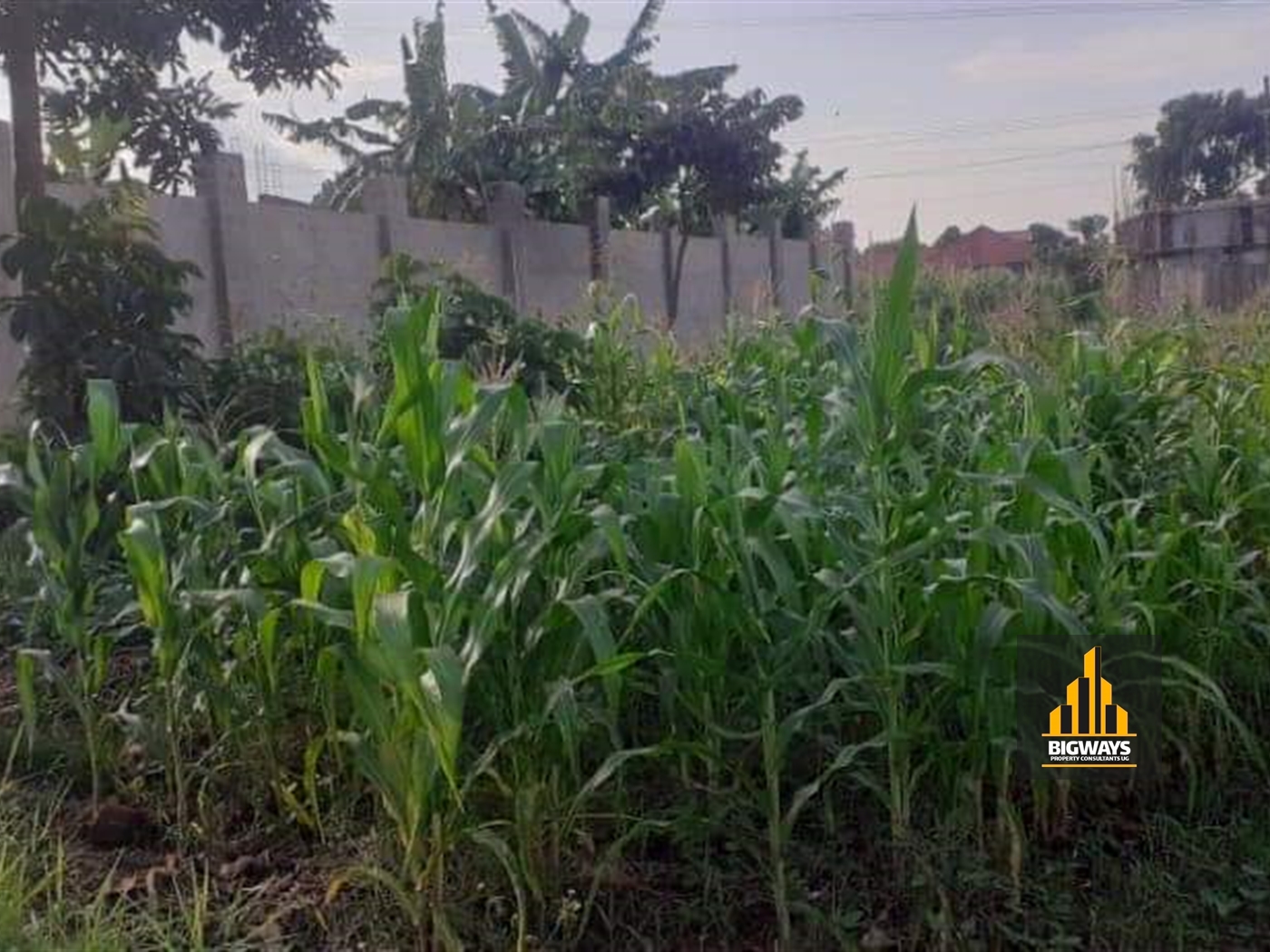 Residential Land for sale in Najjera Wakiso