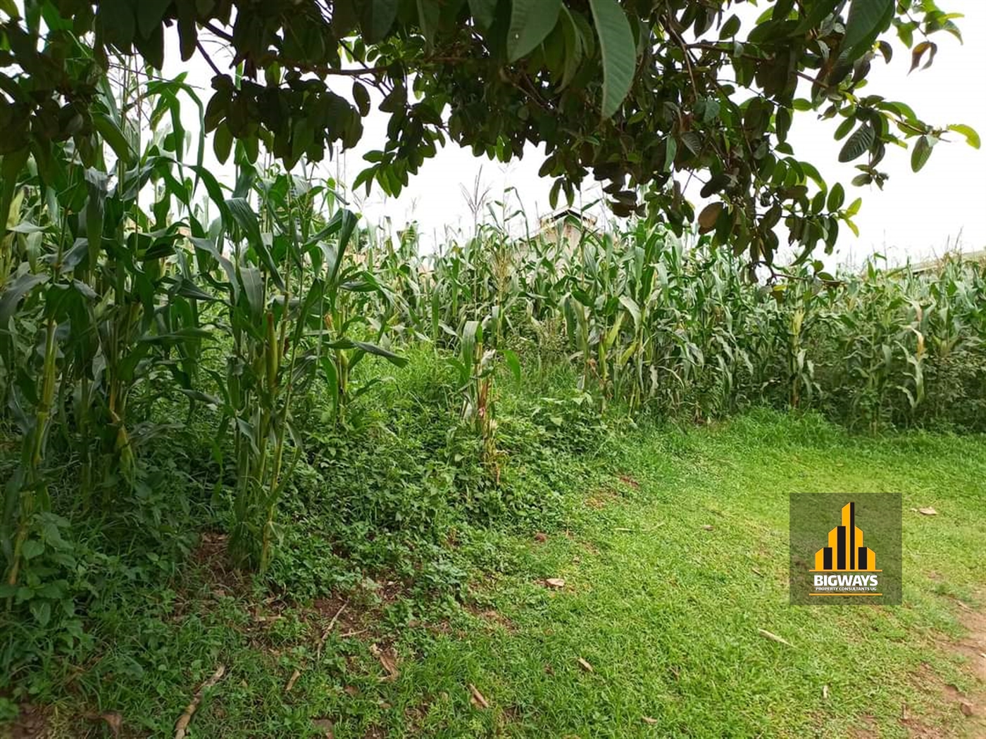 Residential Land for sale in Najjera Wakiso