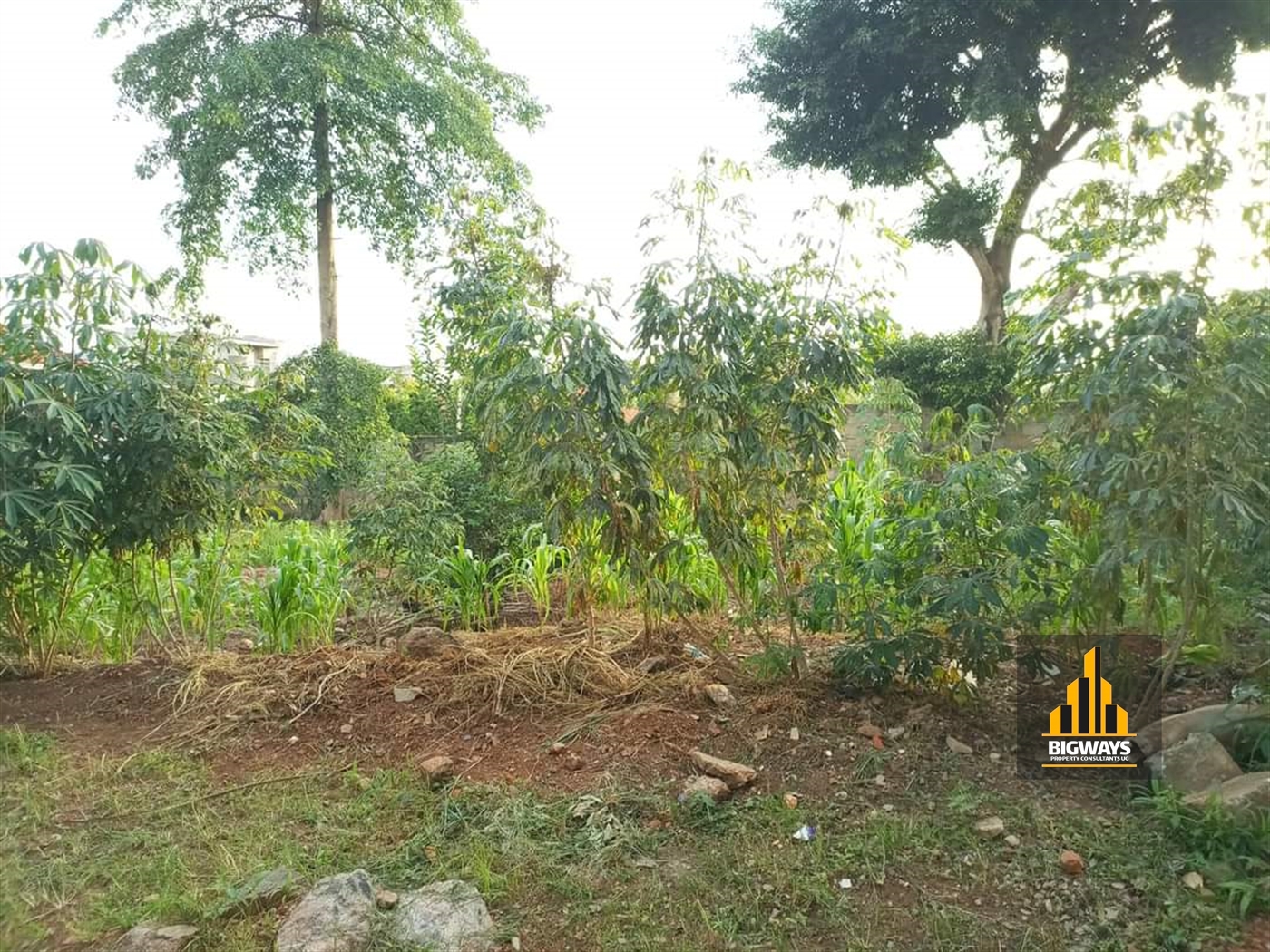 Residential Land for sale in Muyenga Kampala