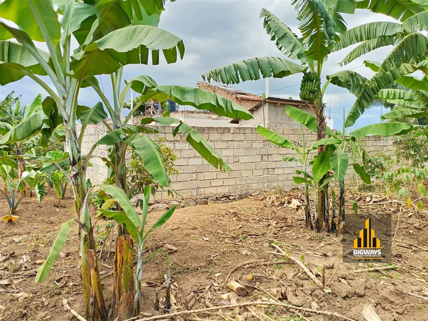 Residential Land for sale in Muyenga Kampala