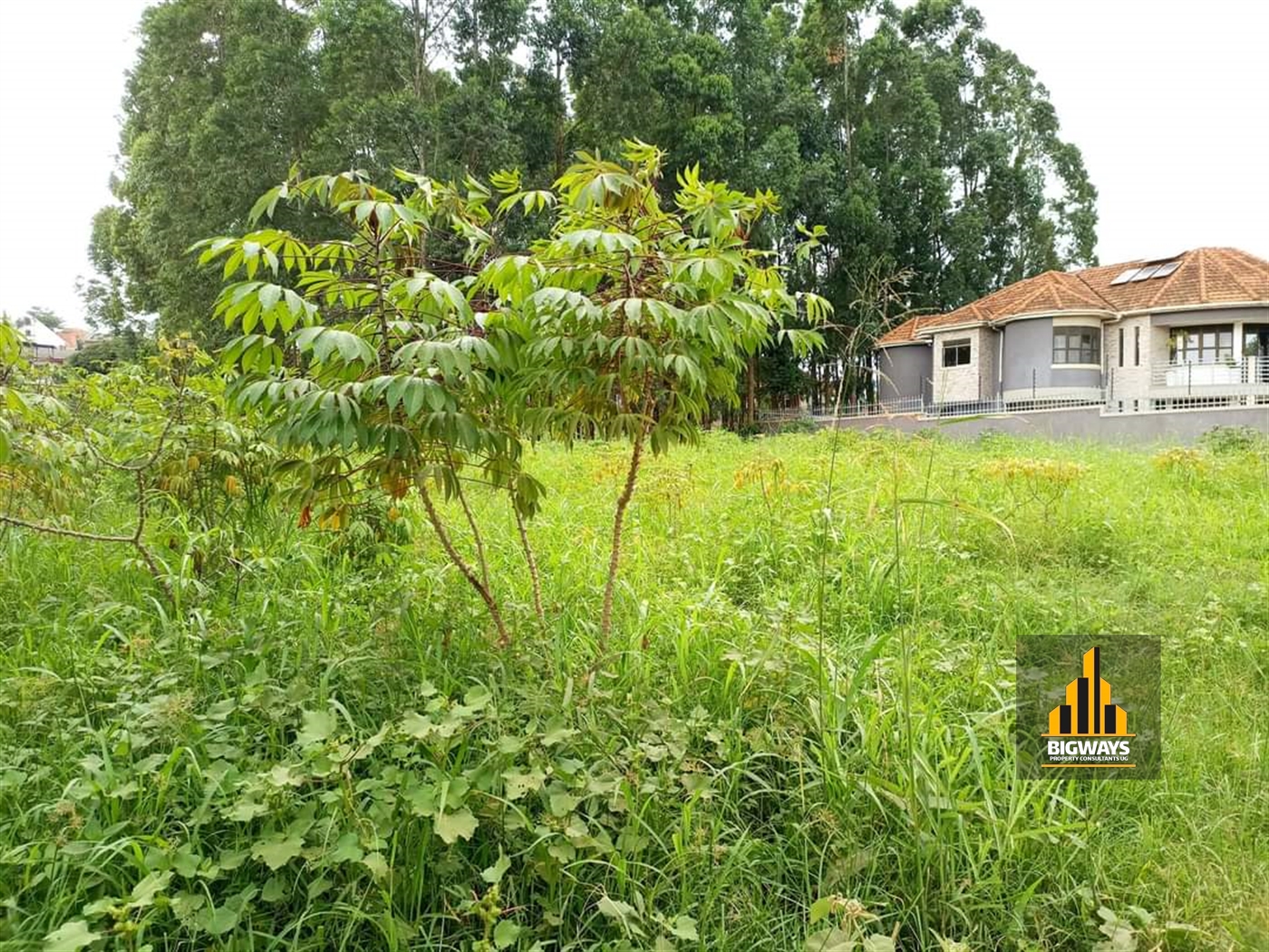 Residential Land for sale in Muyenga Kampala