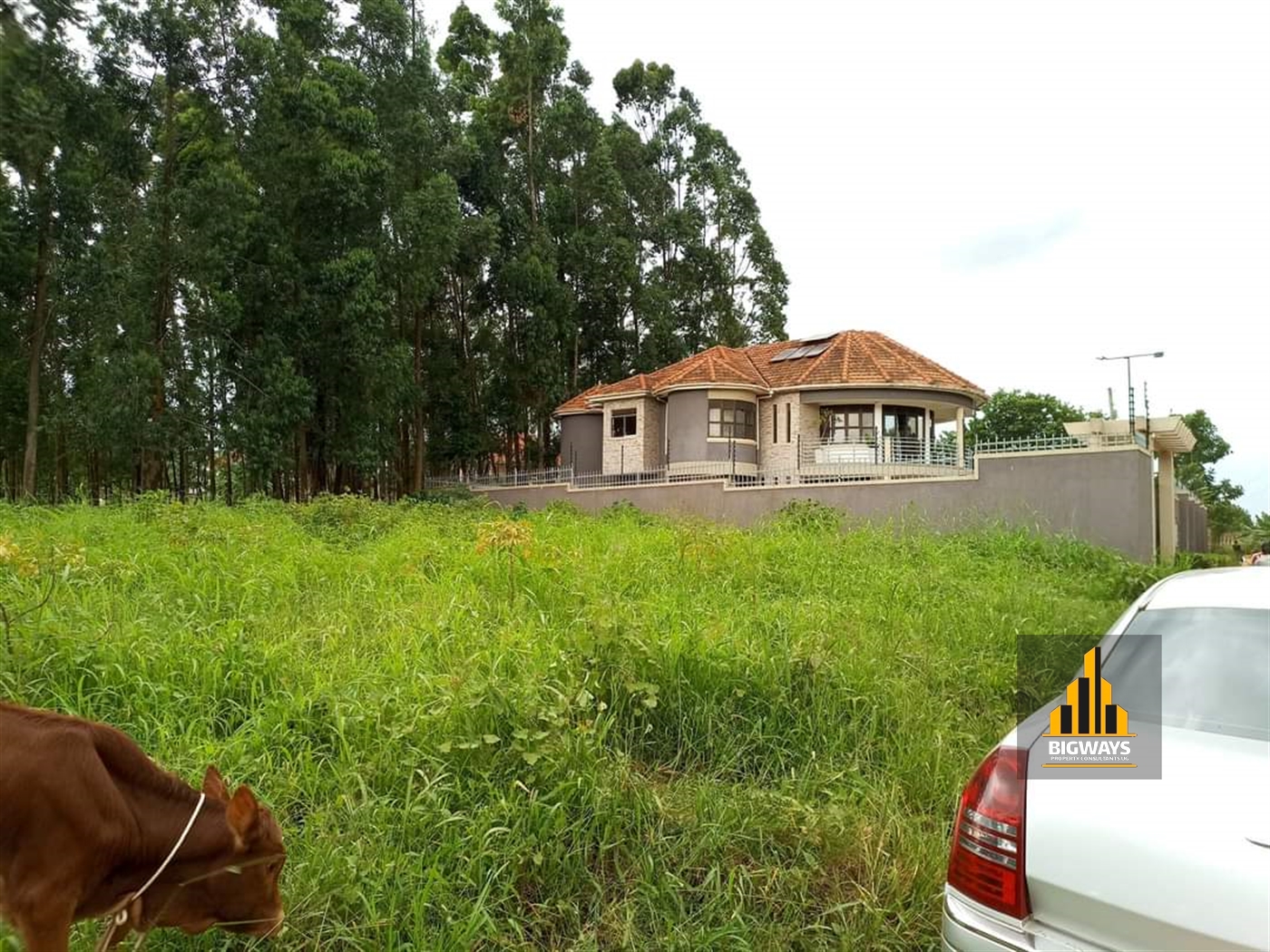 Residential Land for sale in Muyenga Kampala