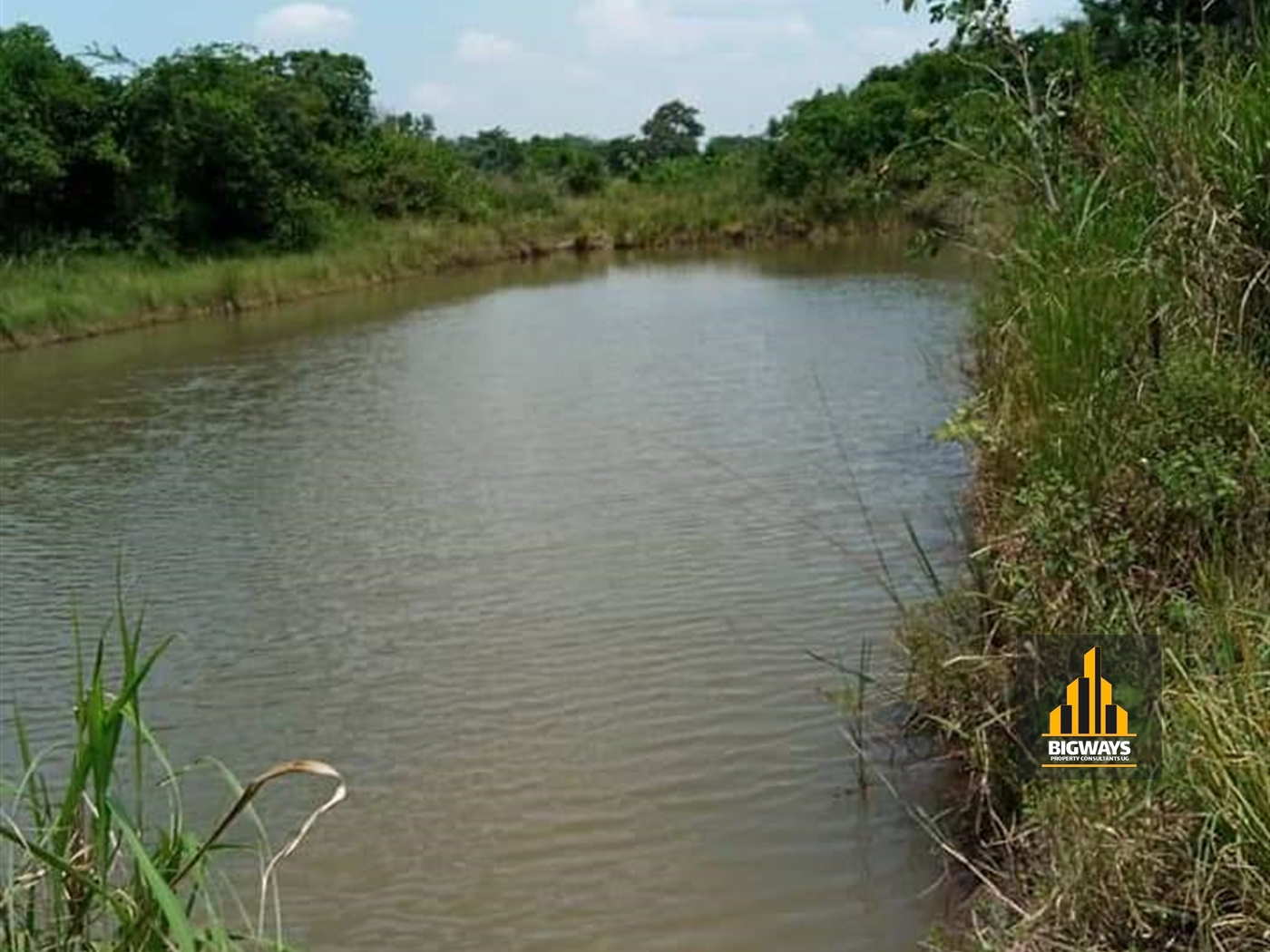 Agricultural Land for sale in Kakooge Luweero