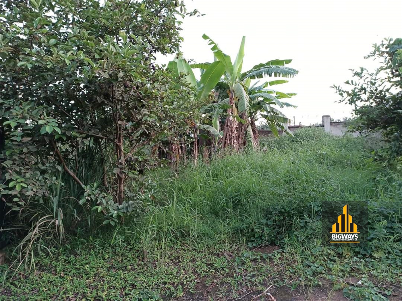 Residential Land for sale in Kiwaatule Kampala