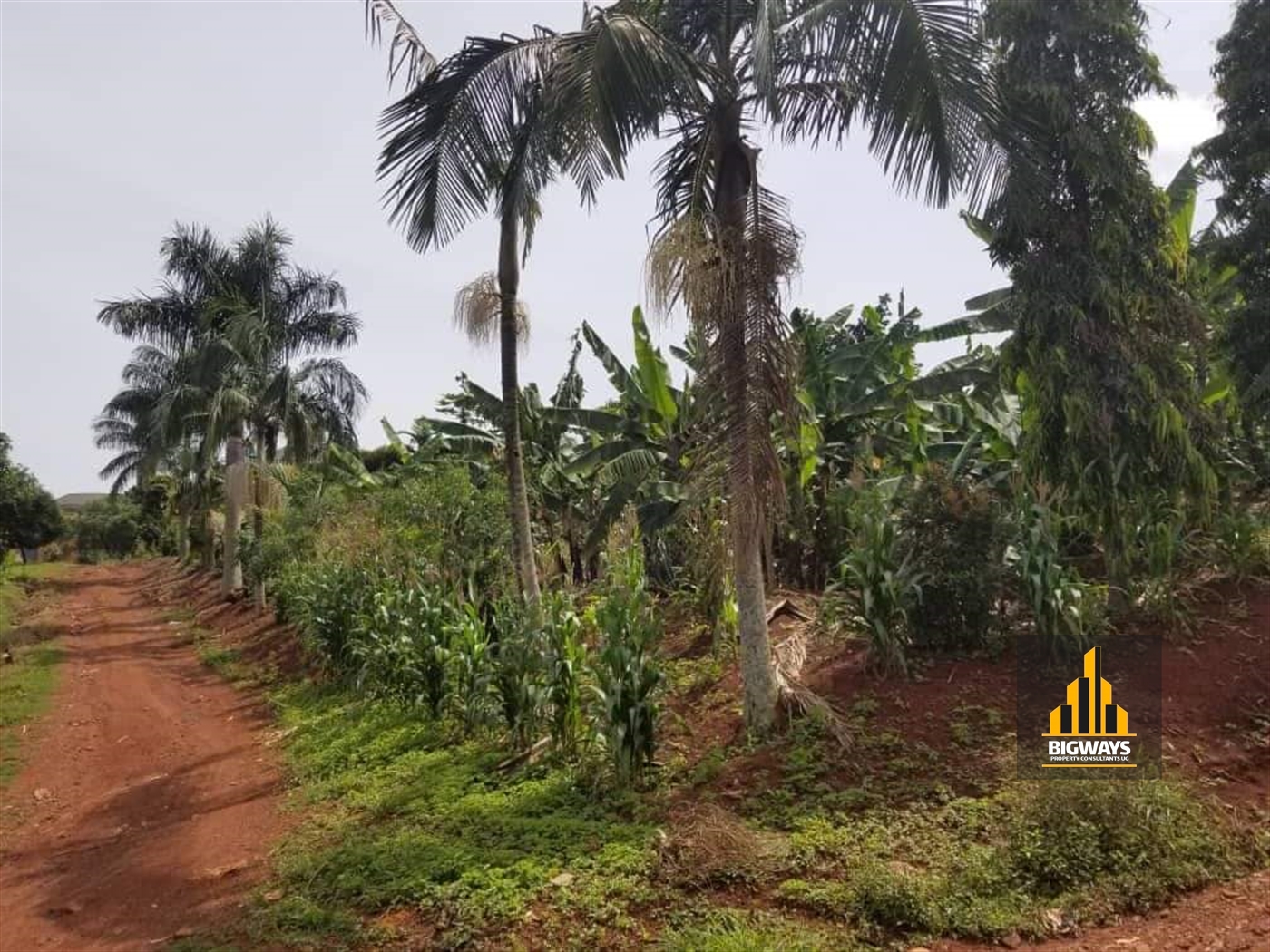 Residential Land for sale in Bwebajja Wakiso