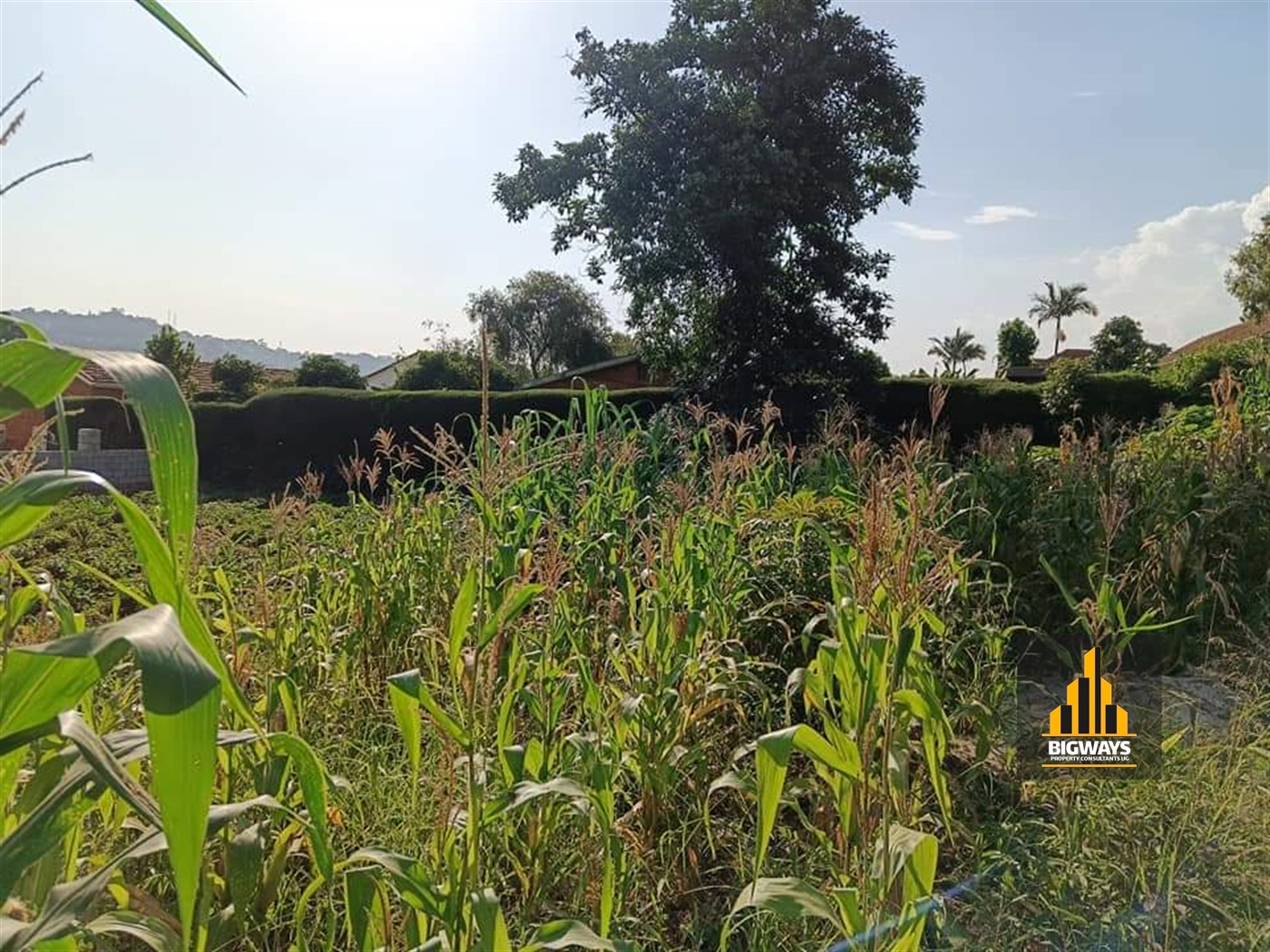 Residential Land for sale in Muyenga Kampala