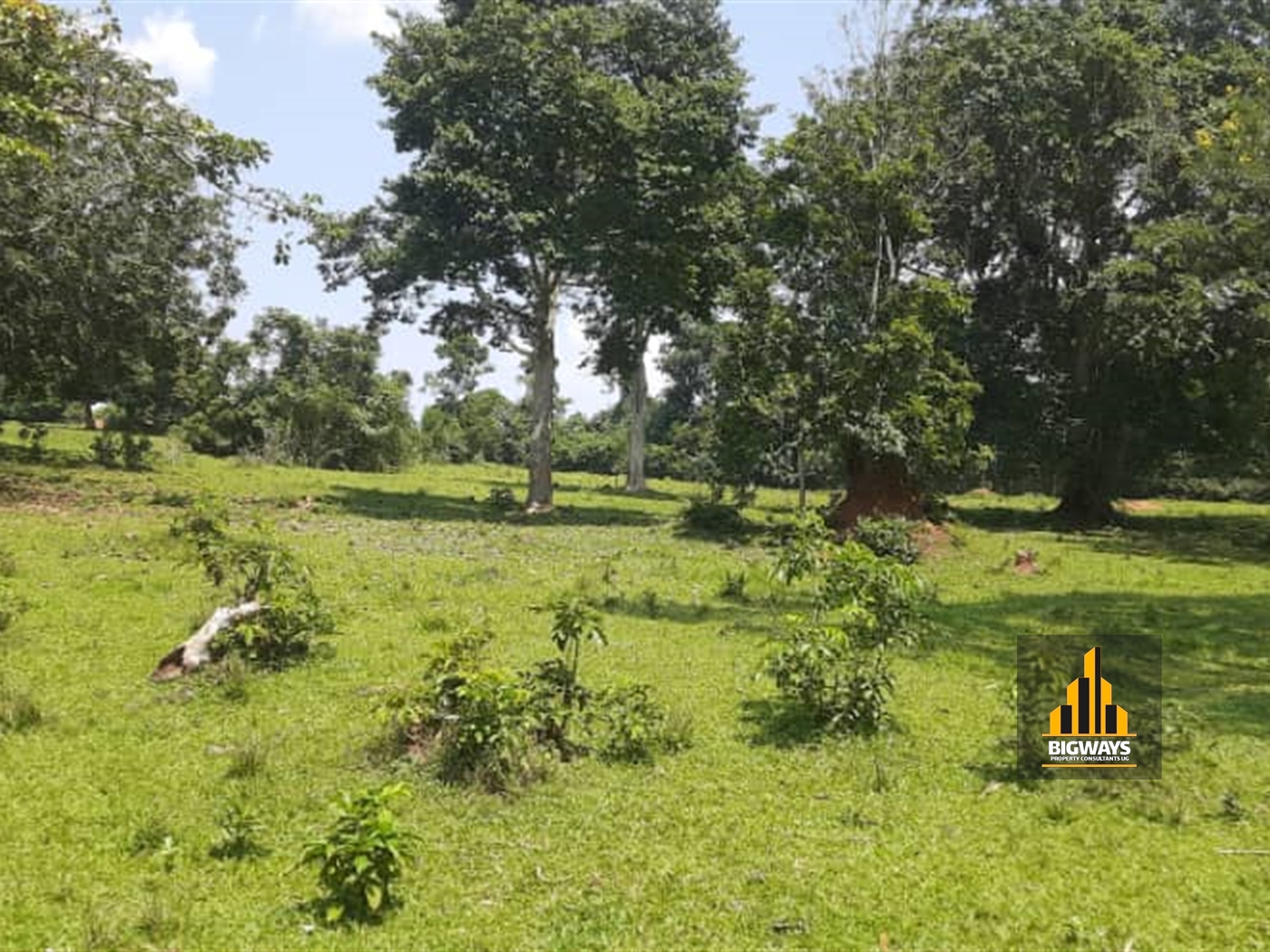 Residential Land for sale in Namayiba Wakiso