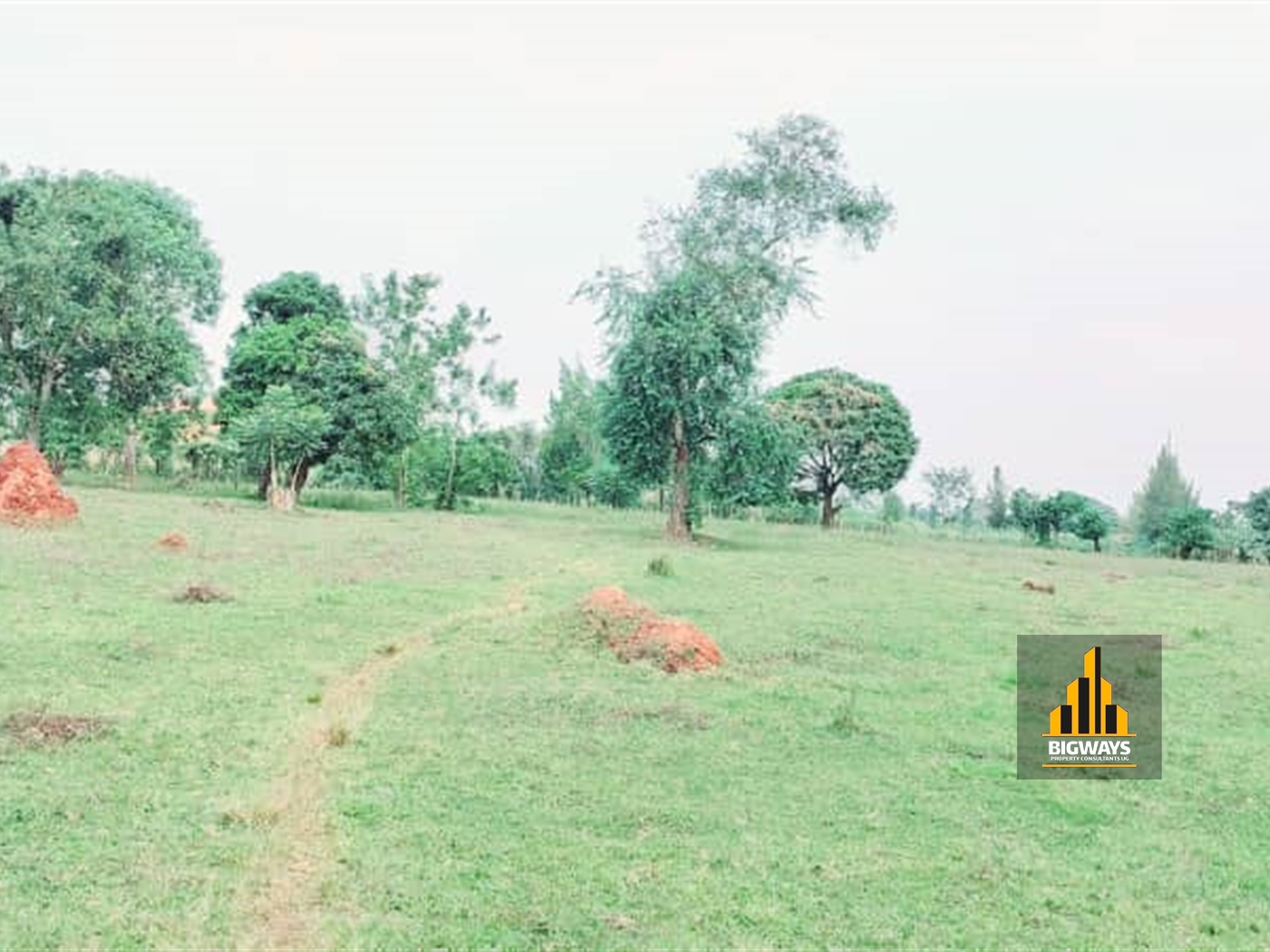 Agricultural Land for sale in Namusela Wakiso