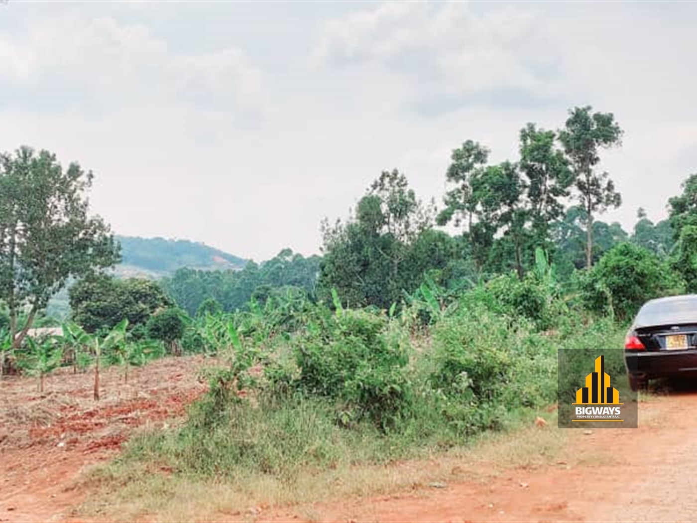 Agricultural Land for sale in Namusela Wakiso