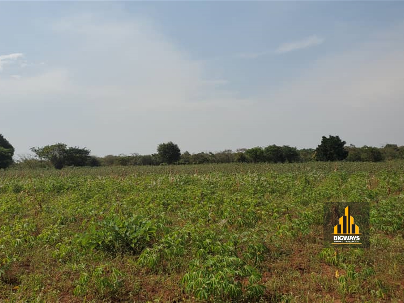 Agricultural Land for sale in Bamugolodde Luwero
