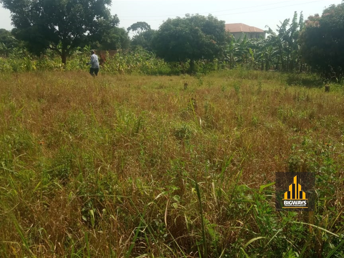 Residential Land for sale in Nkumba Wakiso