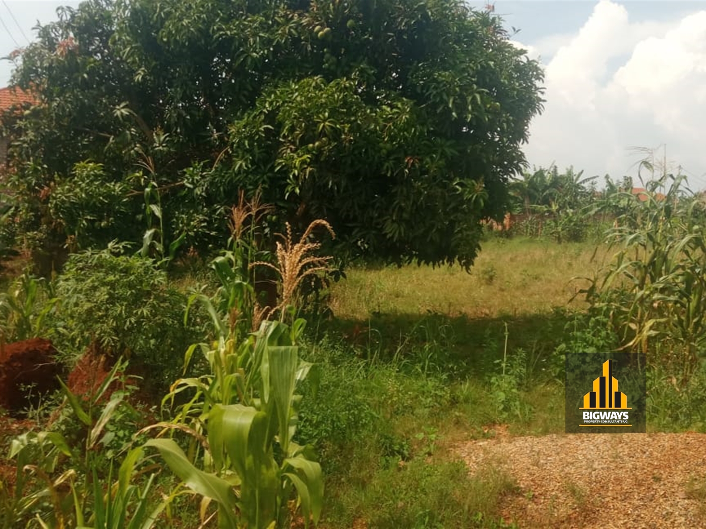 Residential Land for sale in Nkumba Wakiso