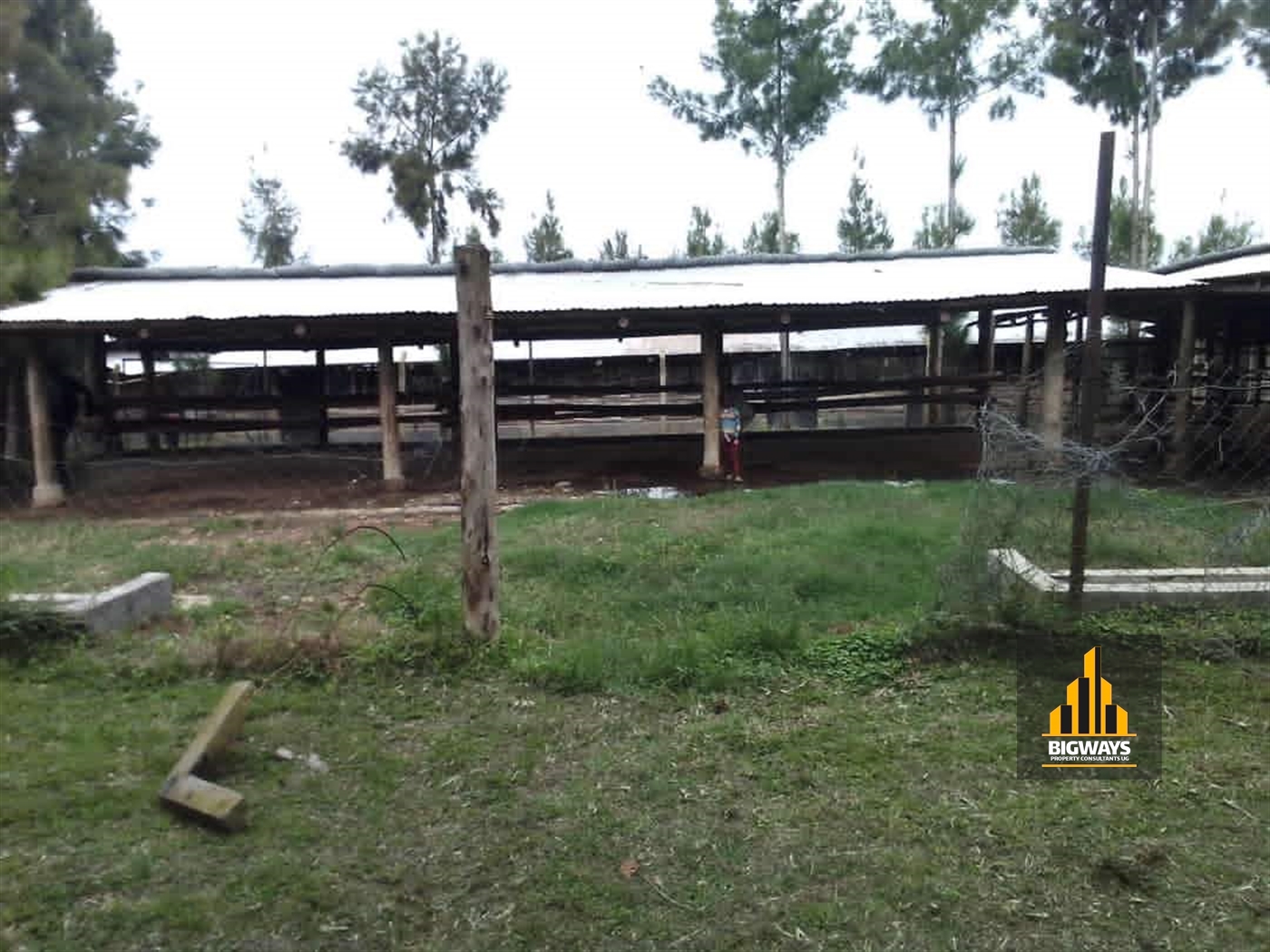 Farm for sale in Kikonge Mityana