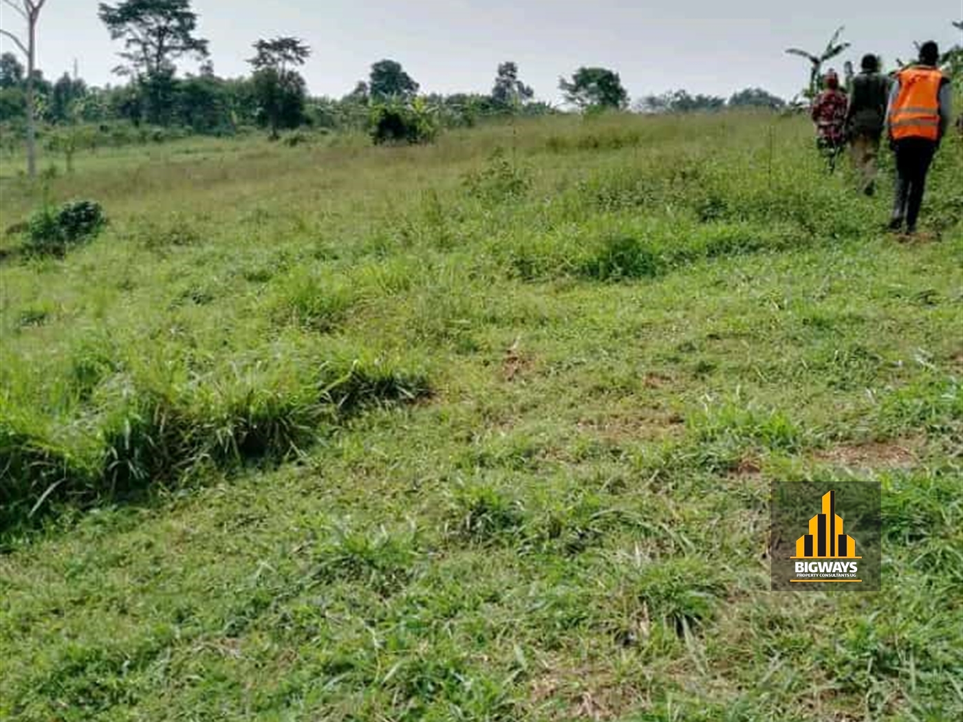 Agricultural Land for sale in Butende Iganga