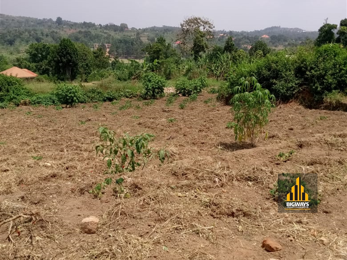 Residential Land for sale in Kiwenda Wakiso