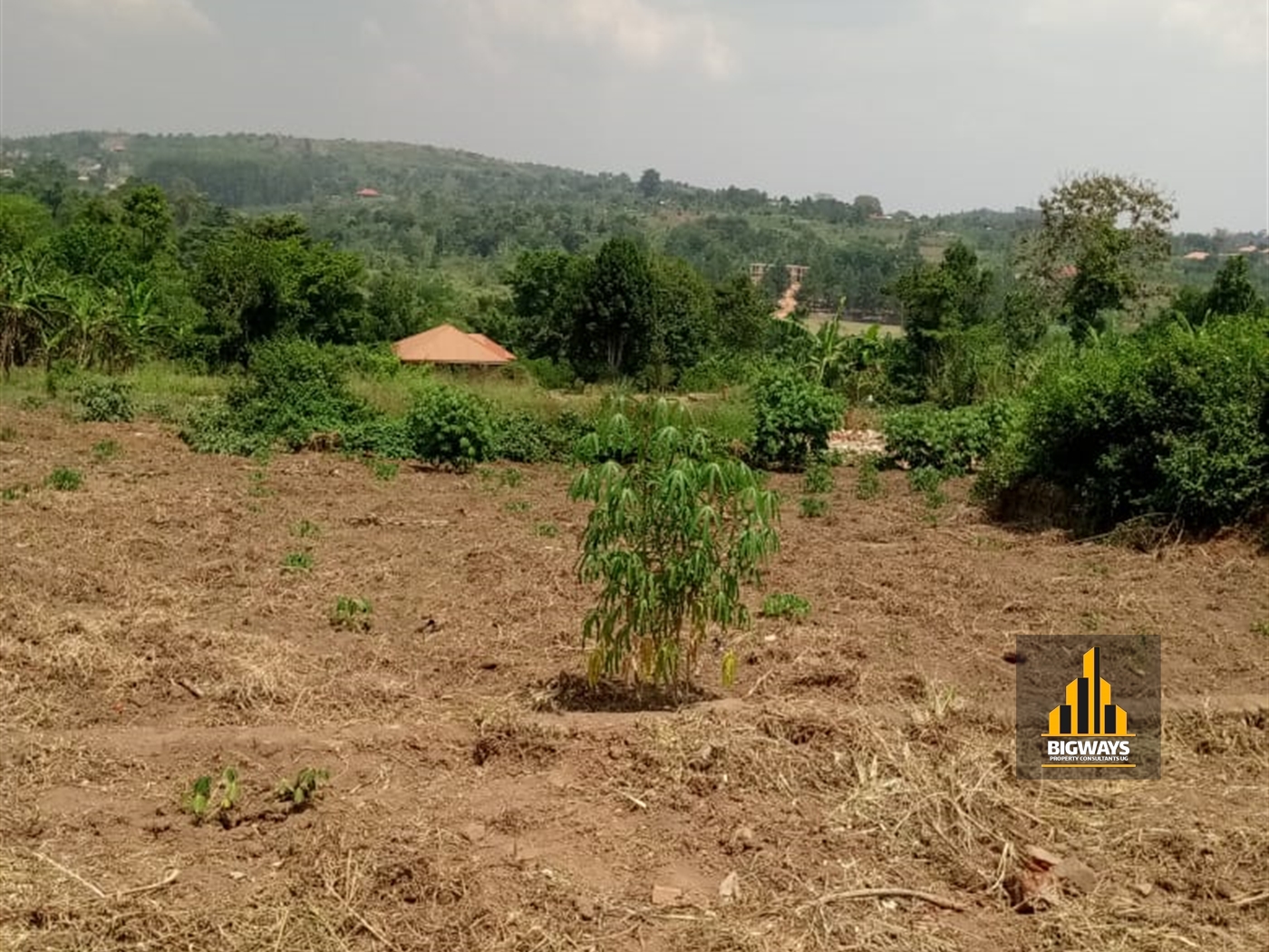 Residential Land for sale in Kiwenda Wakiso