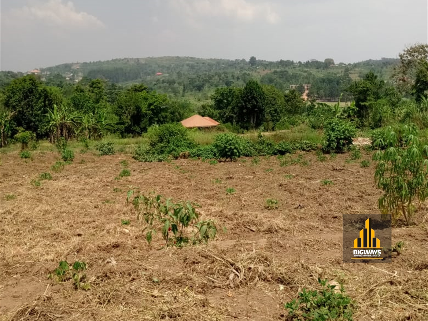 Residential Land for sale in Kiwenda Wakiso