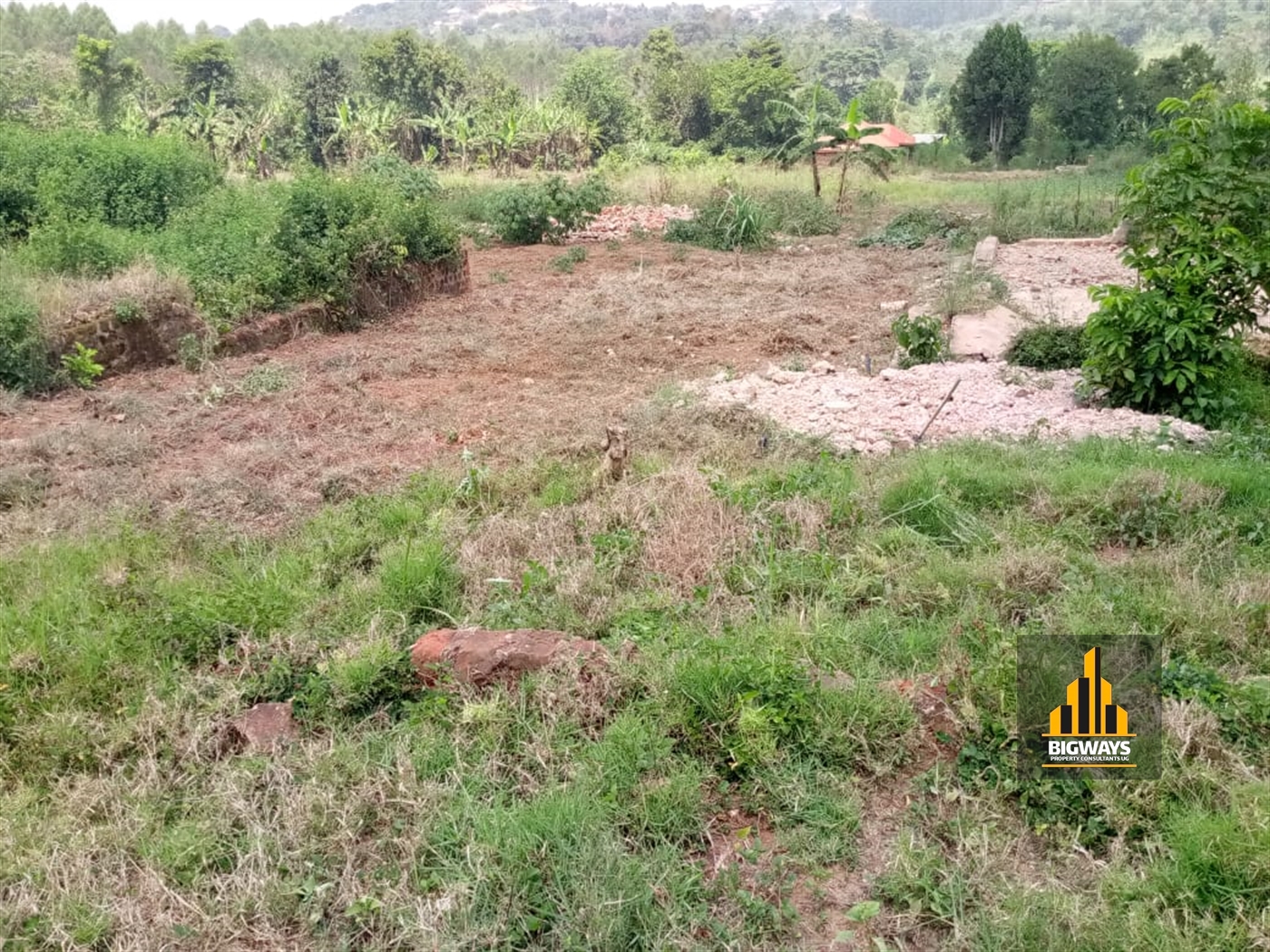 Residential Land for sale in Kiwenda Wakiso