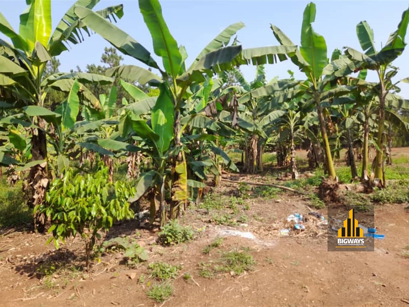 Residential Land for sale in Kyanja Kampala