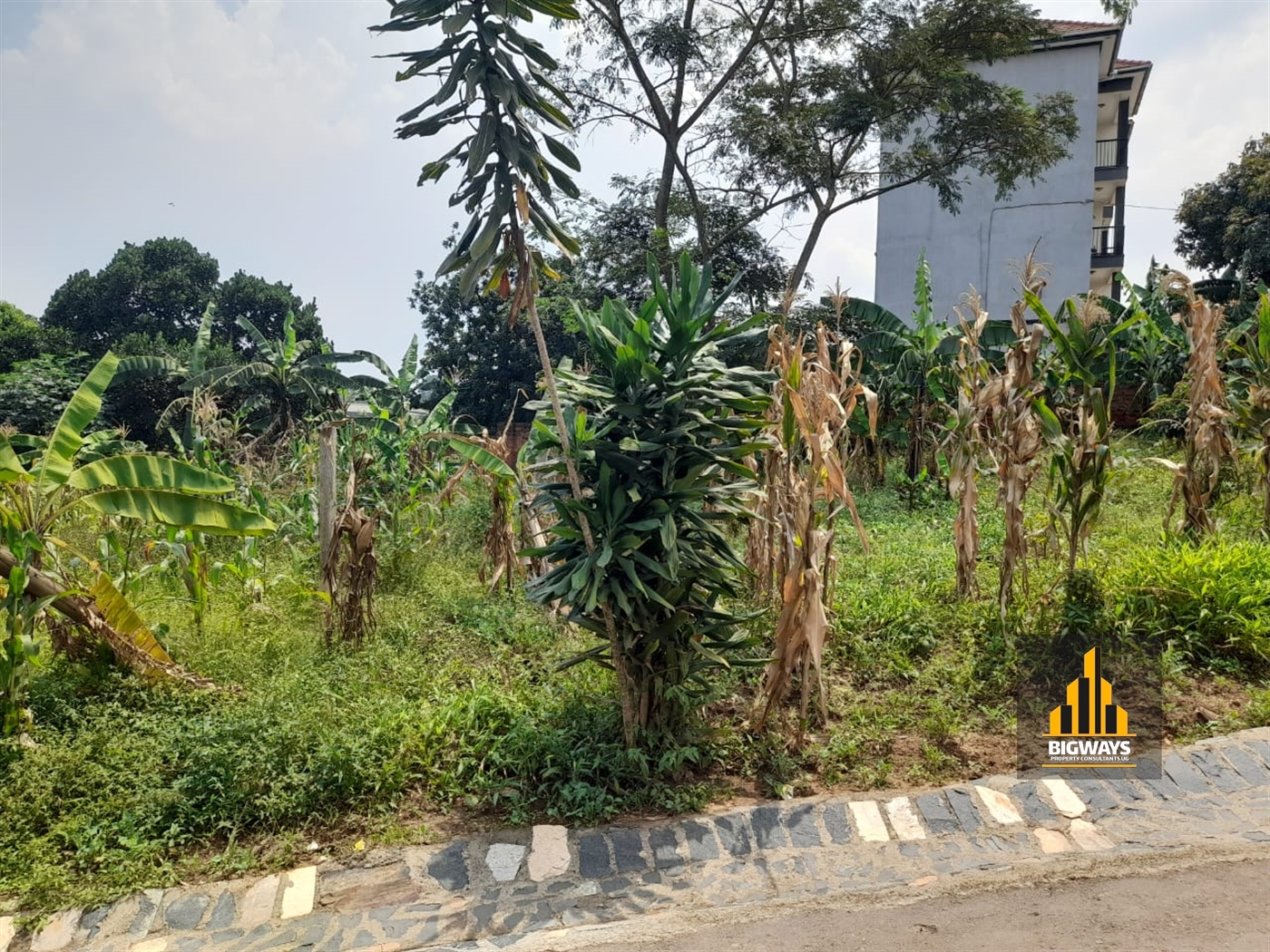 Residential Land for sale in Kisaasi Kampala