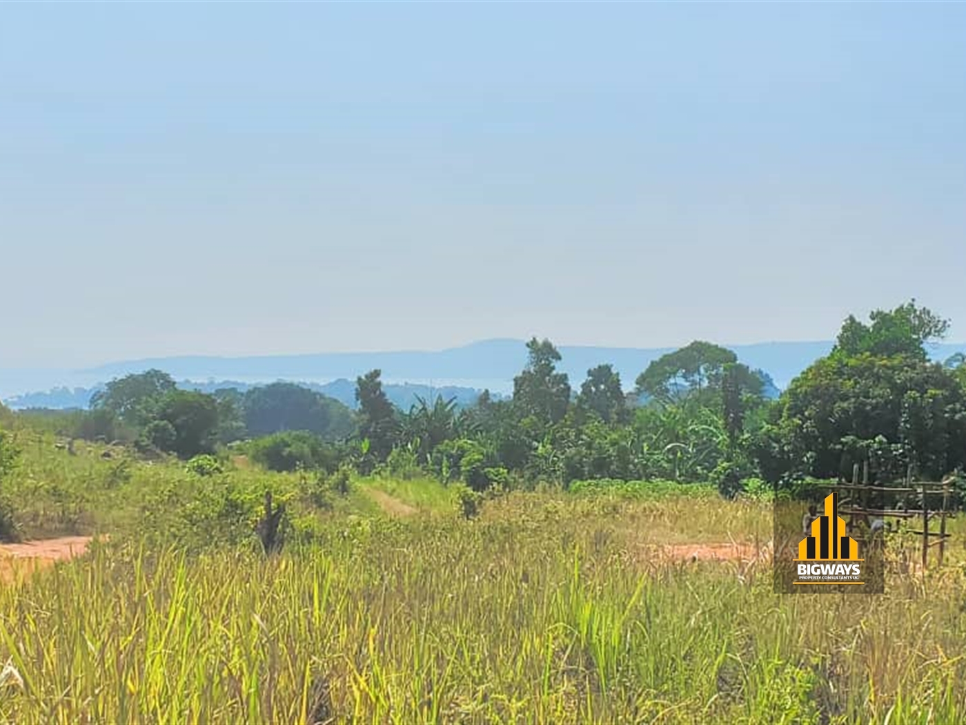 Agricultural Land for sale in Buwooya Mukono