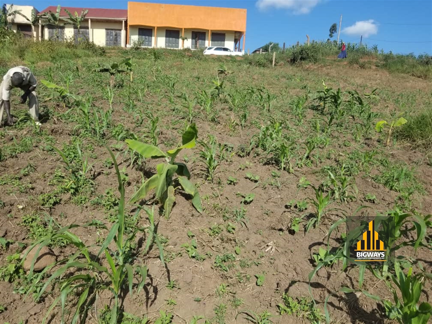 Commercial Land for sale in Katende Mpigi