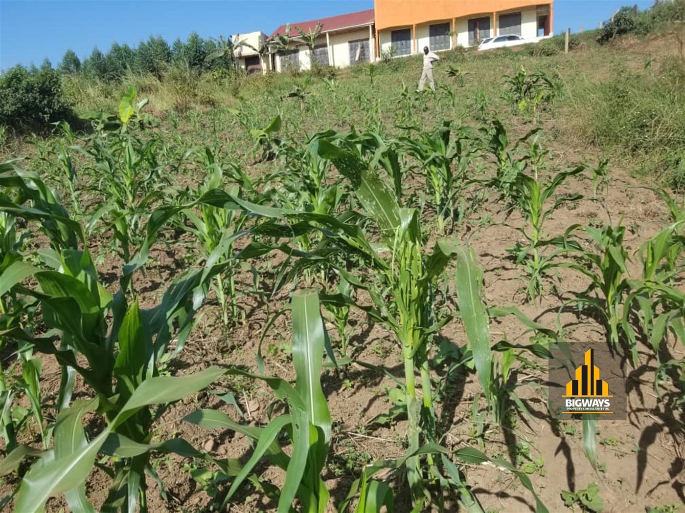 Commercial Land for sale in Katende Mpigi