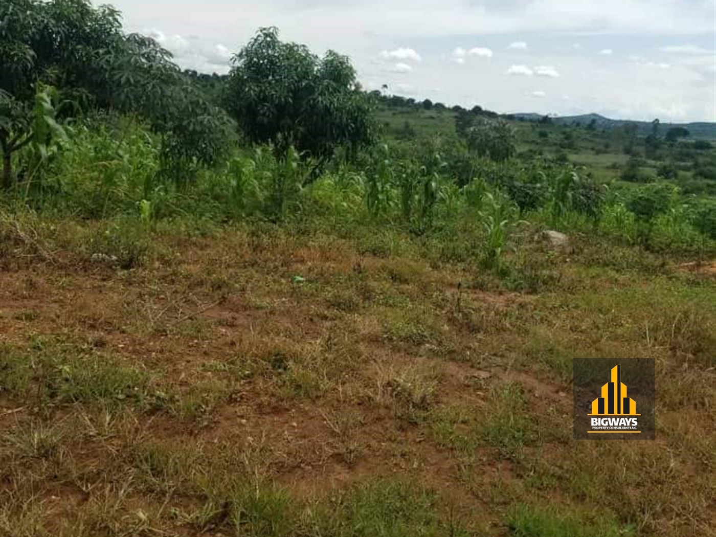 Agricultural Land for sale in Nkozi Mpigi