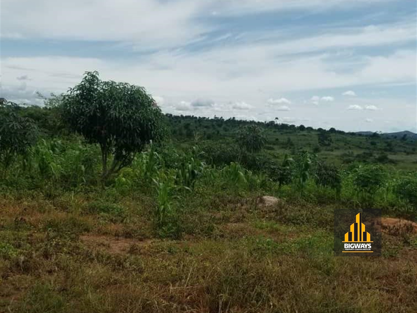 Agricultural Land for sale in Nkozi Mpigi