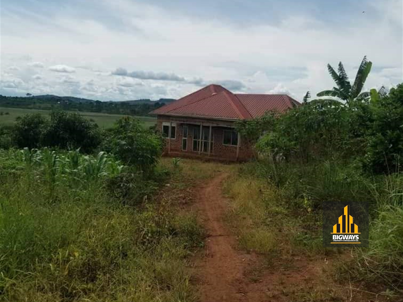 Agricultural Land for sale in Nkozi Mpigi